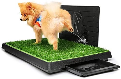 Grass patch store for dogs canada