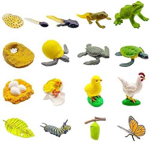 Wholesale 17 PCS Life Cycle Figures of Frog,Chicken,Sea Turtle, Butterfly, Early Education Animal Figures,Biology Science Toys : Toys & Games | Supply Leader — Wholesale Supply Wholesale 17 PCS Life Cycle Figures of Frog,Chicken,Sea Turtle, Butterfly, Early Education Animal Figures,Biology Science Toys : Toys & Games | Supply Leader — Wholesale Supply