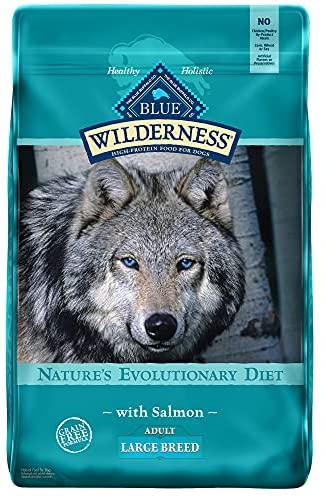 dog food blue buffalo salmon