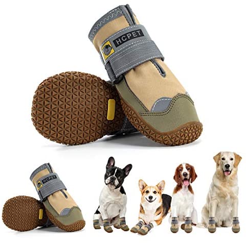  Roilpet Grippy Non-Slip Dog Socks to Prevent Licking