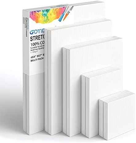 ESRICH 11x14 Canvases for Painting, 24 Pack Blank White Canvases for  Painting - 100% Cotton Paint Canvases for Oil, Acrylic & Watercolor Paint.