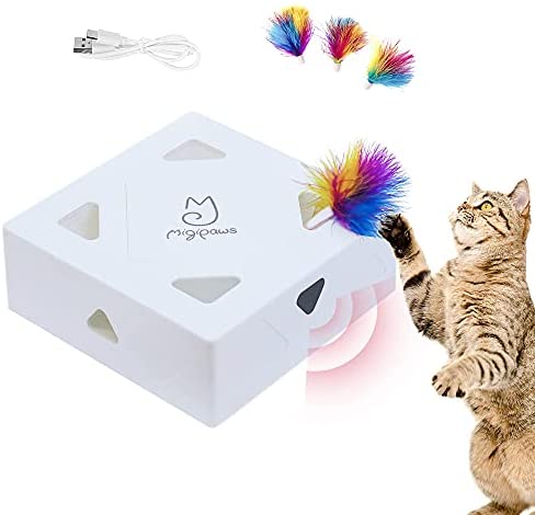 Scratchpad Pro - Laptop Scratcher Cat Toy - Unique Cat Toy 3-in-1 with Stickers