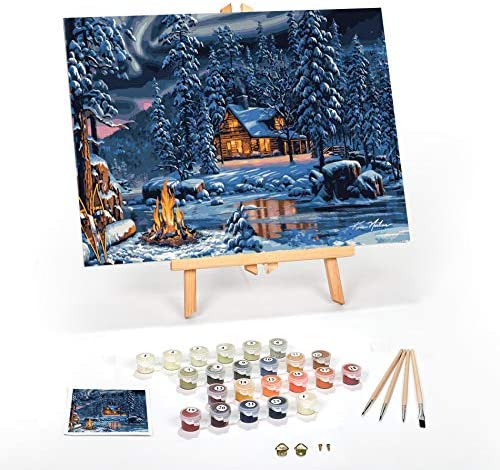 Paint By Numbers Kit For Adults Beginner Diy Oil Painting 16x20