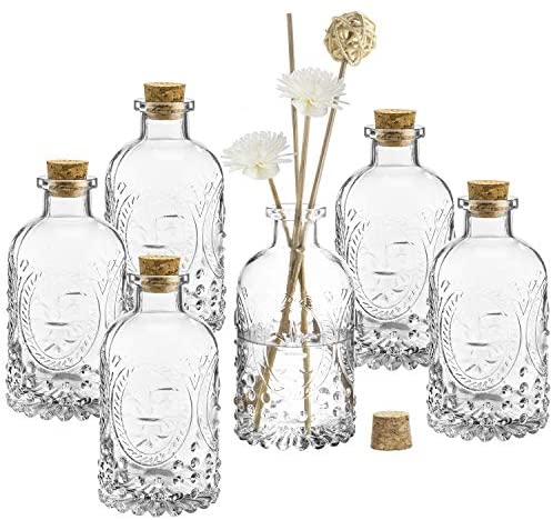 BULK PARADISE Assorted Clear Glass Bottles with Corks, 6 Pack, 2.5