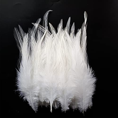 QUEFE 10pcs 6.6ft Colorful Feather Boas for Women Girls Costume  Dress Up Party Bulk Decoration : Clothing, Shoes & Jewelry