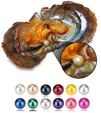 Buy oysters with hot sale pearls in bulk