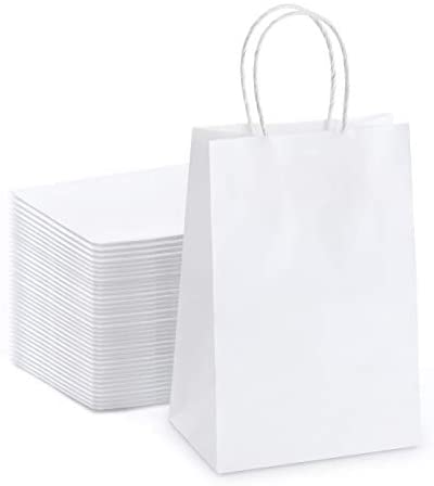 YACEYACE White Gift Bags with Handles, 20Pcs 5.25x3.75x8 Small White  Paper Gift Bags with Handles Bulk White Kraft Paper Bags White Paper Bags