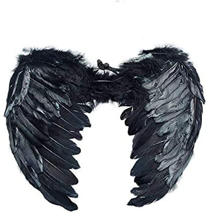 Fun Costumes Fallen Black Angel Wings Standard