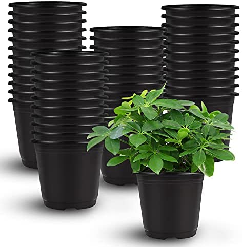 Delxo 50 Pcs 6 Inch Plants Nursery Pots Reusable Plant Seeding