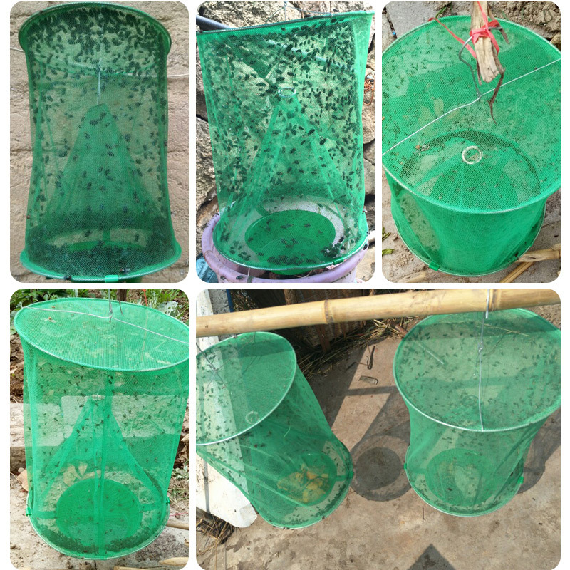 Wholesale Flycatcher Flies Caged To Catch Flies Artifacts Flies Traps Home Artifacts Fly Traps Daily