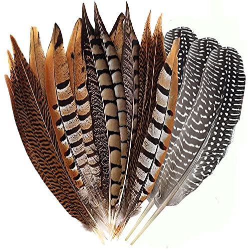 Hat Feathers 12 Pcs, Assorted Natural Feather Packs Accessories