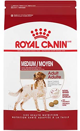 Wholesale royal canin dog sales food