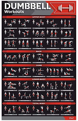 Wholesale GRAND BASICS Laminated Large Dumbbell Workout Poster ...