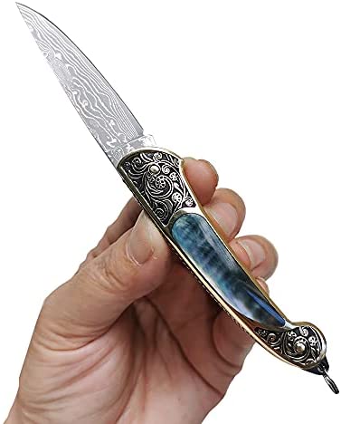 Chikashi (ちかし) Damascus Steel Knife With Abalone Handle