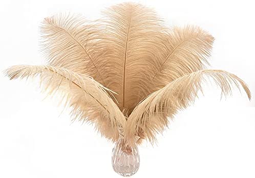  EVNNO 10 Pcs Natural White Ostrich Feathers Making Kit
