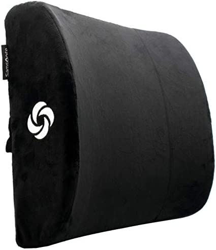 Wennebird Model Q Lumbar Memory Foam Support Pillow To Improve