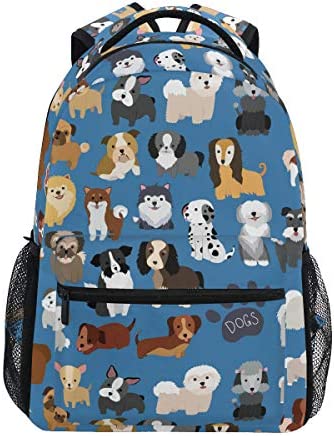 Renewold 3 Pack Toddler Backpack Pomeranian School Bag Lunch Box