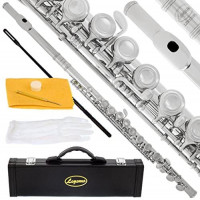 Lazarro Professional Silver Nickel Closed Hole C Flute for Band, Orchestra, with Case, Care Kit and Warranty, 120-NK: Musical Instruments