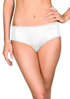 Shadowline Women's Hidden Elastic Nylon Hipster Panty 3-Pack at Women’s Clothing store
