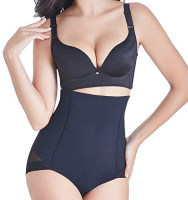 ROBERT MATTHEW - Womens Shapewear Tummy Control Briefs Ambitious High-Waist Panty - MSRP $49.99 at Women’s Clothing store