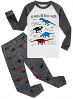 Family Feeling Truck Little Boys Kids Pajamas Sets 100% Cotton Pjs Toddler: Clothing