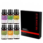 Guru Nanda (Set of 6) Therapeutic Grade Essential Oil Blends - 100% Pure & Natural Aromatherapy Blends for Oil Diffusers & Topical Use - Breathe Easy, Tranquility, Harmony, Sleep, Relaxation, Immunity: Health & Personal Care