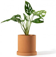 POTEY Terracotta Indoor Planter Pot - 4.5 Inch Pottery Flower Clay Medium Garden Round Bonsai Containers with Watering Drain Holes Saucer-Unglazed 025311: Garden & Outdoor
